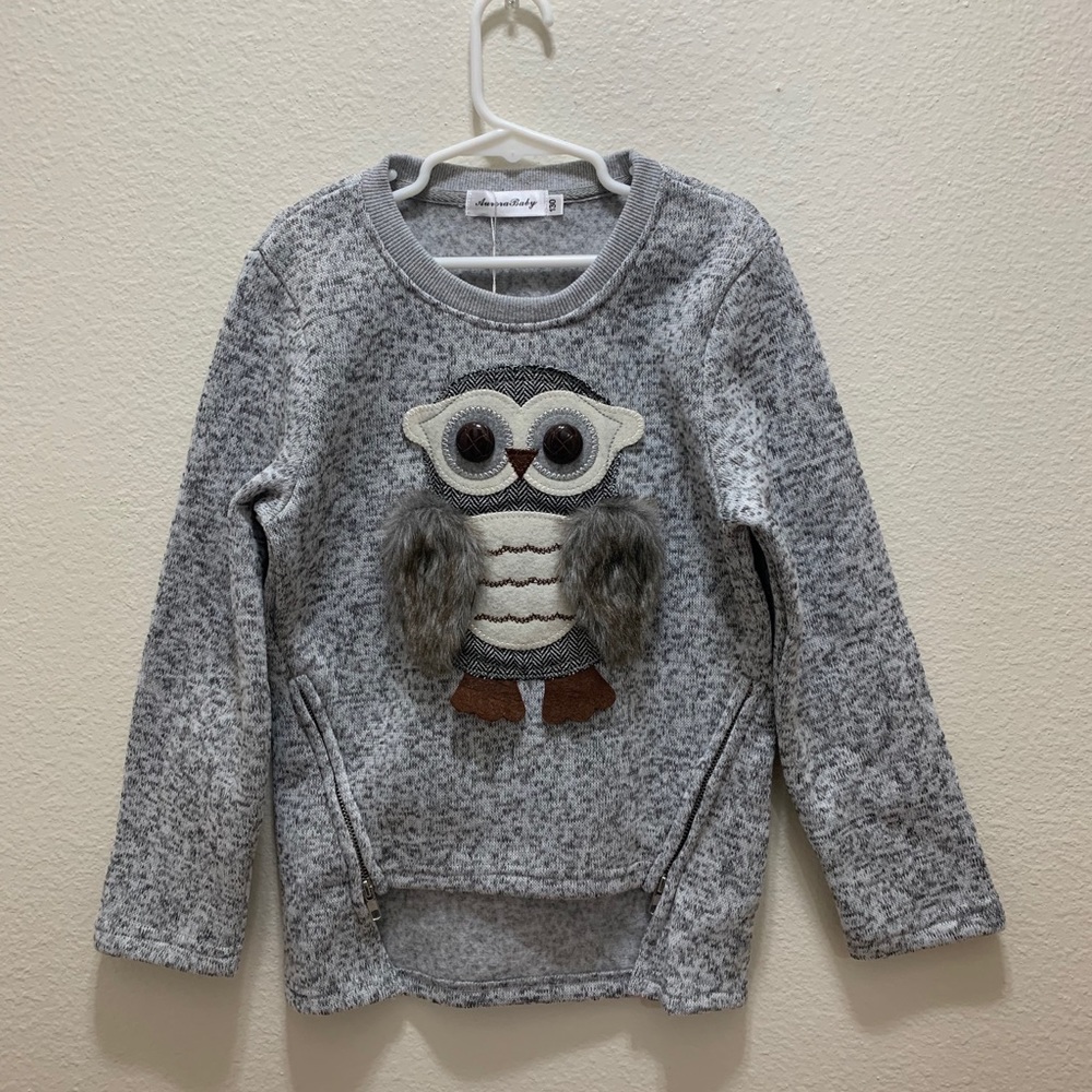 Beautiful owl sweater